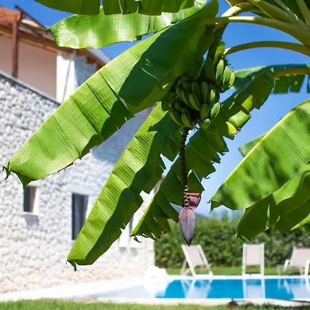 Villa Avesta Private Villas *